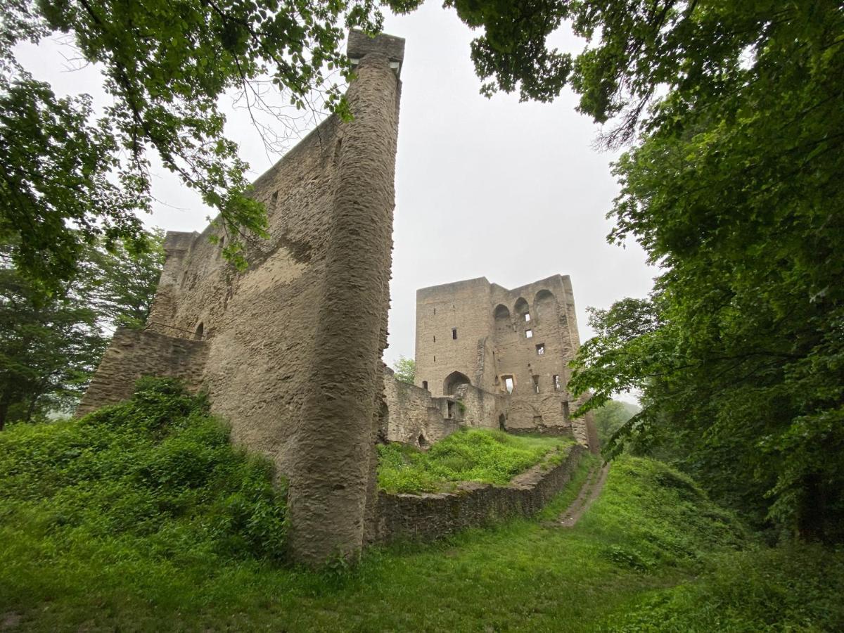 Neu!!! Netflix!!! Schoene Ferienwohnungen Im Gruenen Mit Top Ausstattung - Nur 15 Min Bis Koblenz Eitelborn Экстерьер фото