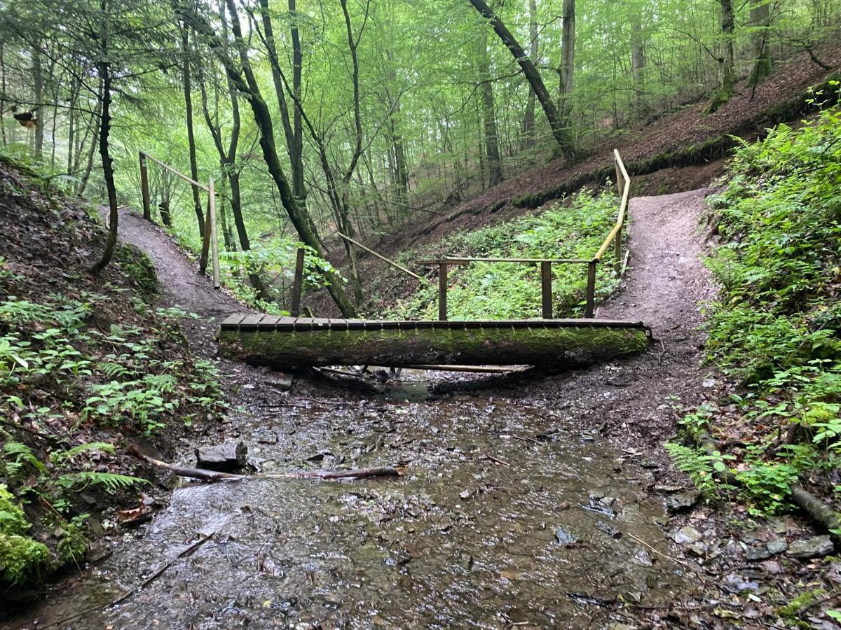 Neu!!! Netflix!!! Schoene Ferienwohnungen Im Gruenen Mit Top Ausstattung - Nur 15 Min Bis Koblenz Eitelborn Экстерьер фото